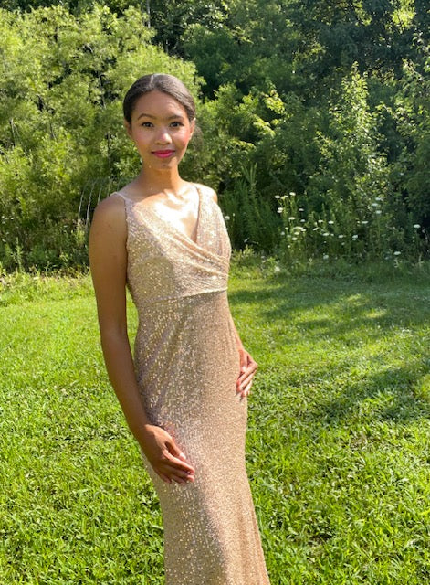 The Rosy Gold Sequin Dress