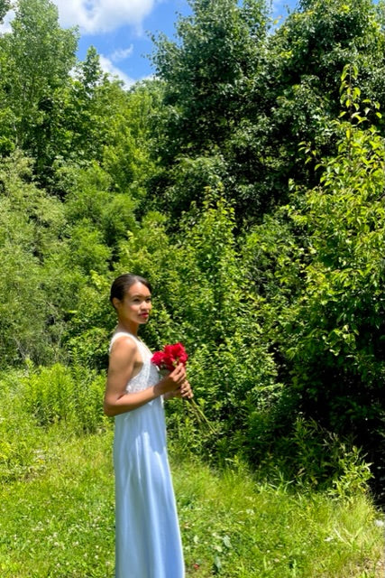 Blue Dusty Lace Dress