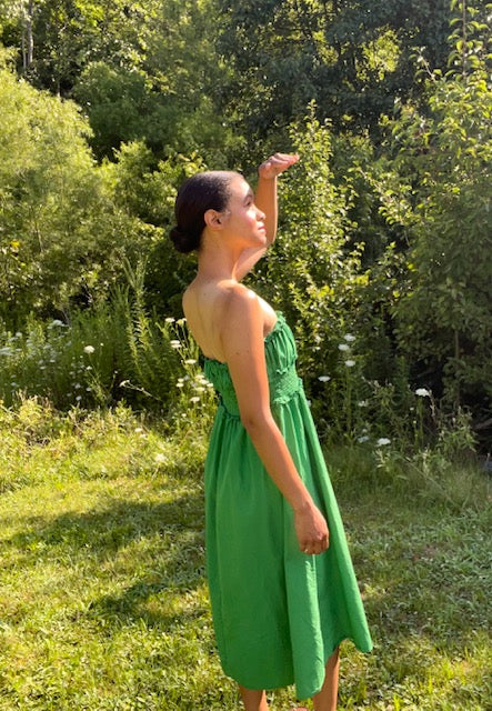 The Leafy Poplin Dress