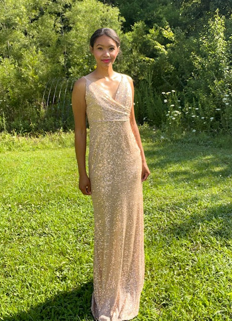 The Rosy Gold Sequin Dress