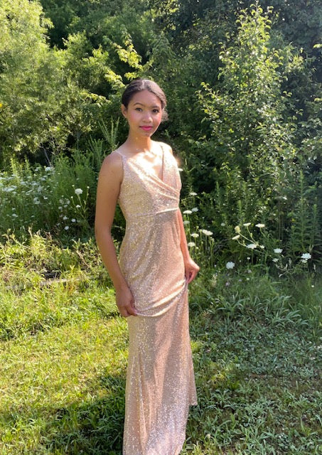 The Rosy Gold Sequin Dress