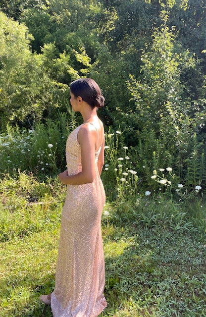 The Rosy Gold Sequin Dress